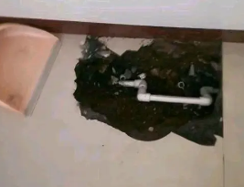 微山卫生间测漏水多少钱